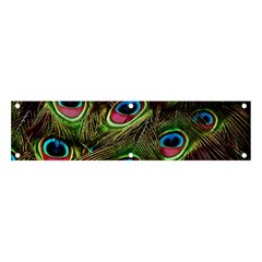 Peacock-feathers-color-plumage Banner And Sign 4  X 1  by Celenk