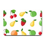 Fruits Small Doormat  24 x16  Door Mat