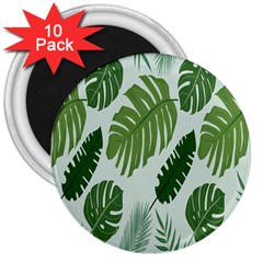 Leaves 3  Magnets (10 Pack)  by nateshop