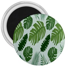 Leaves 3  Magnets by nateshop