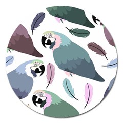 Parrot Magnet 5  (round) by nateshop