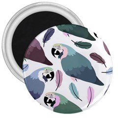 Parrot 3  Magnets by nateshop