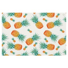 Pineapple Banner And Sign 6  X 4 