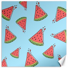 Watermelon-blue Canvas 20  x 20 