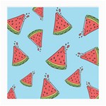 Watermelon-blue Medium Glasses Cloth (2 Sides) Front