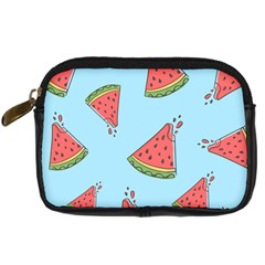 Watermelon-blue Digital Camera Leather Case by nateshop