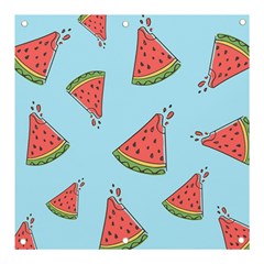 Watermelon-blue Banner And Sign 3  X 3 