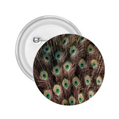 Bird-peacock 2 25  Buttons by nateshop