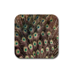 Bird-peacock Rubber Square Coaster (4 Pack) by nateshop