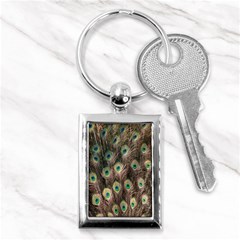 Bird-peacock Key Chain (rectangle) by nateshop