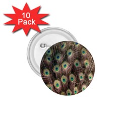 Bird-peacock 1 75  Buttons (10 Pack) by nateshop