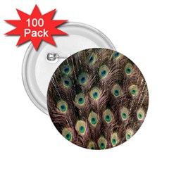 Bird-peacock 2 25  Buttons (100 Pack)  by nateshop