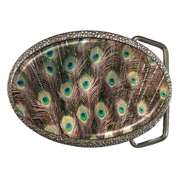 Bird-peacock Belt Buckles