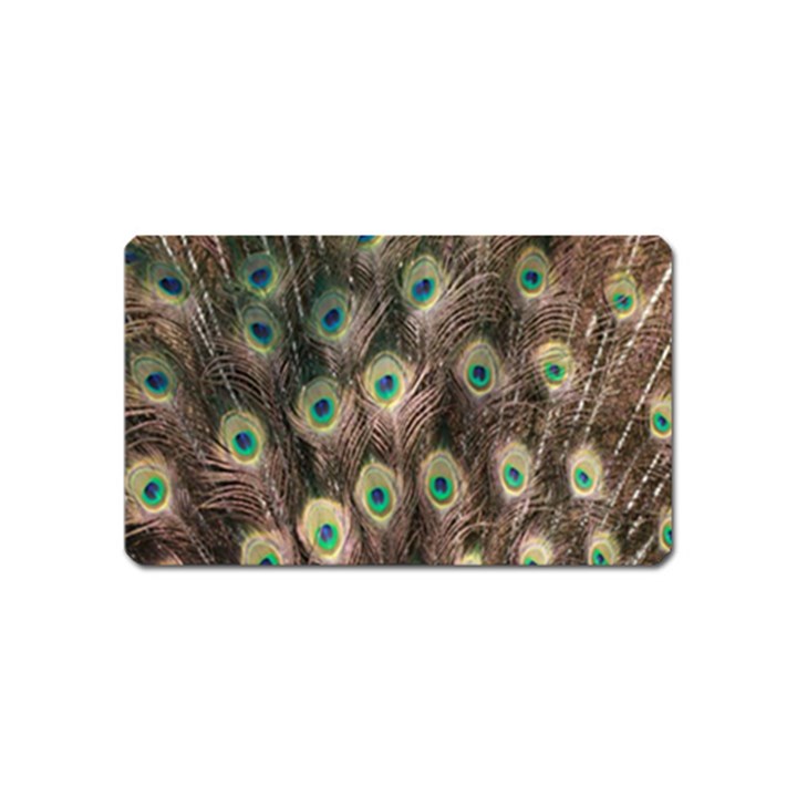 Bird-peacock Magnet (Name Card)