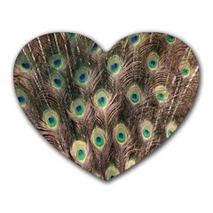 Bird-peacock Heart Mousepads by nateshop