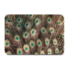 Bird-peacock Plate Mats by nateshop