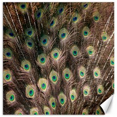 Bird-peacock Canvas 16  X 16  by nateshop