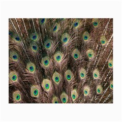 Bird-peacock Small Glasses Cloth (2 Sides) by nateshop