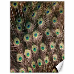 Bird-peacock Canvas 36  X 48  by nateshop