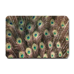 Bird-peacock Small Doormat  by nateshop