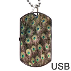 Bird-peacock Dog Tag Usb Flash (two Sides) by nateshop