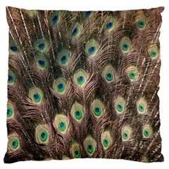 Bird-peacock Large Cushion Case (two Sides) by nateshop