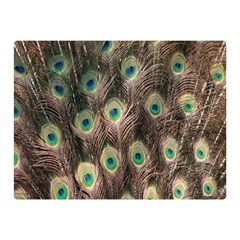 Bird-peacock Double Sided Flano Blanket (mini)  by nateshop