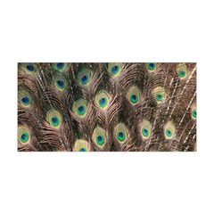 Bird-peacock Yoga Headband by nateshop