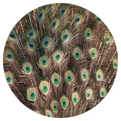 Bird-peacock Round Trivet