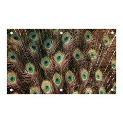 Bird-peacock Banner And Sign 5  X 3 