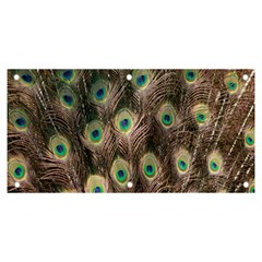 Bird-peacock Banner And Sign 6  X 3 