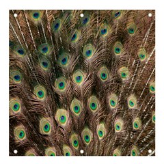 Bird-peacock Banner And Sign 4  X 4 