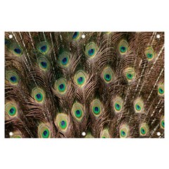 Bird-peacock Banner And Sign 6  X 4 