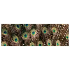 Bird-peacock Banner And Sign 9  X 3 