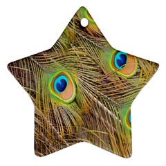 Peacock-bird Ornament (star) by nateshop