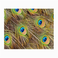 Peacock-bird Small Glasses Cloth by nateshop