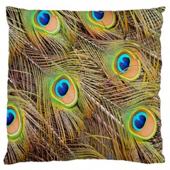 Peacock-bird Large Cushion Case (two Sides) by nateshop