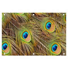 Peacock-bird Banner And Sign 6  X 4 