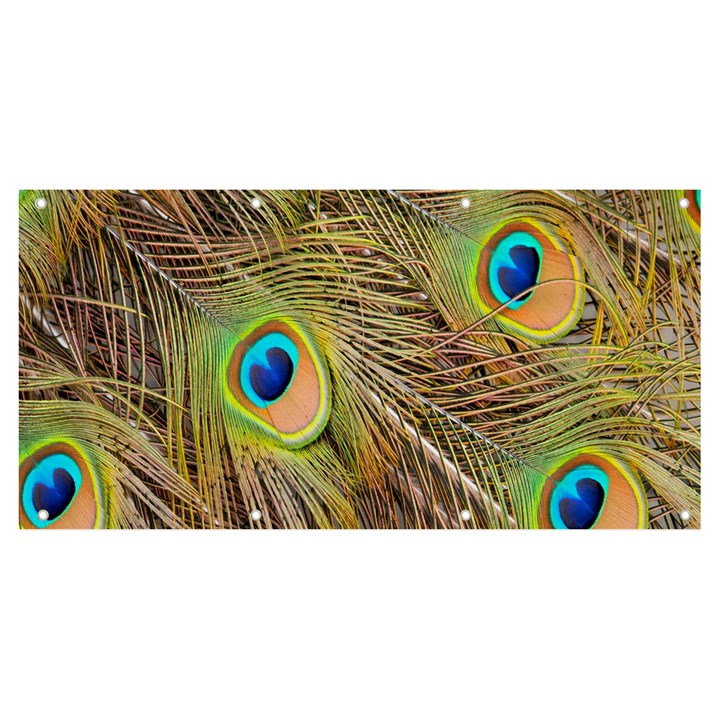 Peacock-bird Banner and Sign 8  x 4 