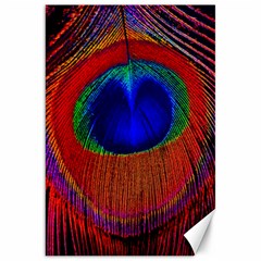 Peacock Plumage Fearher Bird Pattern Canvas 20  X 30  by Sapixe