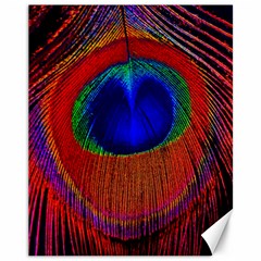 Peacock Plumage Fearher Bird Pattern Canvas 11  X 14  by Sapixe