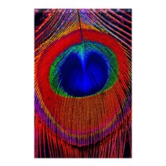 Peacock Plumage Fearher Bird Pattern Shower Curtain 48  X 72  (small)  by Sapixe