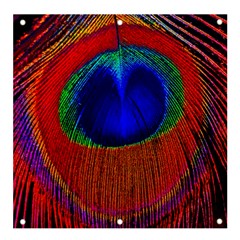 Peacock Plumage Fearher Bird Pattern Banner And Sign 4  X 4  by Sapixe