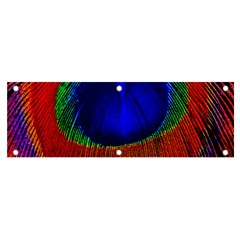 Peacock Plumage Fearher Bird Pattern Banner And Sign 6  X 2  by Sapixe