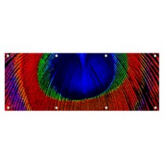 Peacock Plumage Fearher Bird Pattern Banner And Sign 8  X 3 