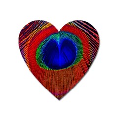 Peacock Plumage Fearher Bird Pattern Heart Magnet by Sapixe