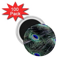 Plumage Peacock Feather Colorful 1 75  Magnets (100 Pack)  by Sapixe