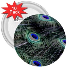 Plumage Peacock Feather Colorful 3  Buttons (10 Pack)  by Sapixe