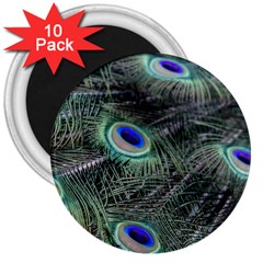 Plumage Peacock Feather Colorful 3  Magnets (10 Pack)  by Sapixe