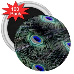 Plumage Peacock Feather Colorful 3  Magnets (100 Pack) by Sapixe